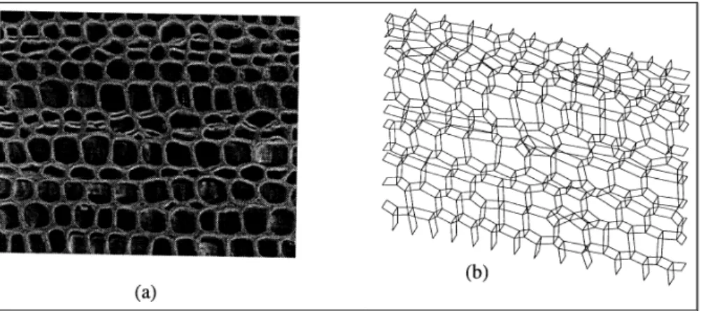 FIGURE 5: (a) Cellular geometry, (b) ANSYS FE model.