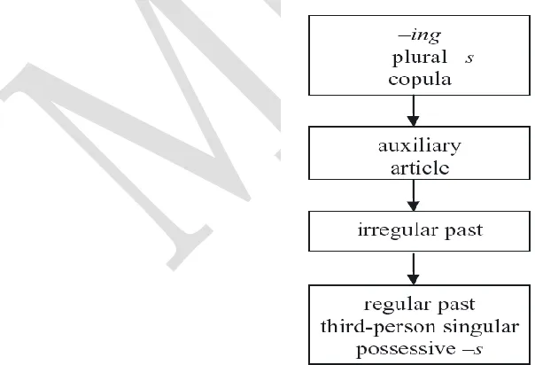 Figure 1 An Accuracy Order of Grammatical Morphemes for L2 learners of English Adapted from Dulay and Burt (1973) 