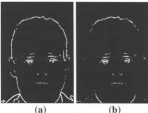 Fig. 2. Edge Map Before and After Removing Straight Lines. 