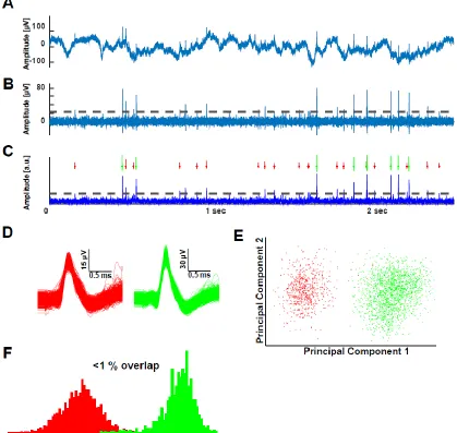 Figure 2.4: Spike detection and sorting. (A) Example broadband recording from a microwire in the amygdala (with bipolar referencing)