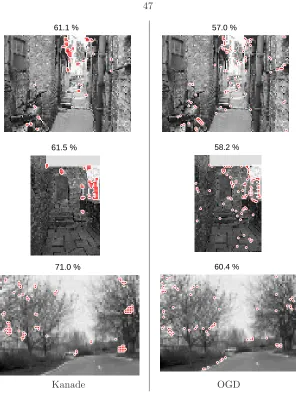 Figure 2.15: In images with relatively high frequency structure, the Kanade detector signiﬁcantlyoutperforms the OGD