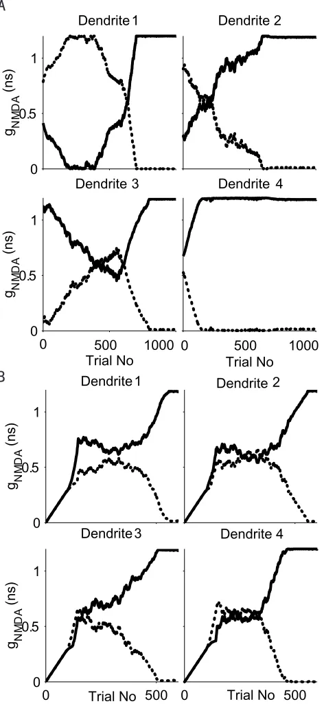 Fig. 2-5. The model with four DS subunits after unsupervised training under the 