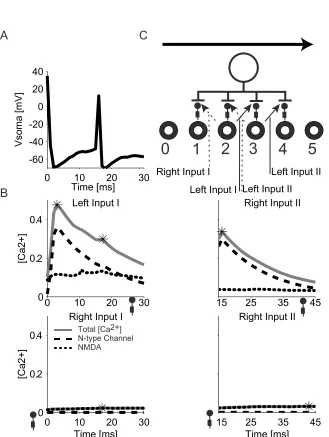 Fig. 3-5. Illustration of the "link-forward" effect between adjacent subunits in the same input group