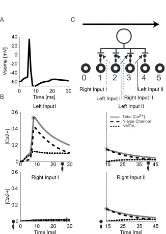 Fig. 3-6. There is no "link-forward" effect between adjacent subunits in the same input group if the LGN input firing rate is not high enough