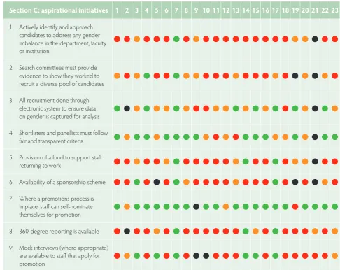 Table 2.10: Summary of aspirational initiatives across individual institutions