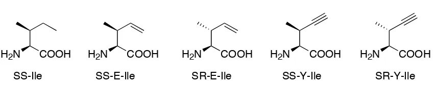 Figure II-1.  Unsaturated isoleucine analogues SS-E-Ile and S R-E-Ile differ in the