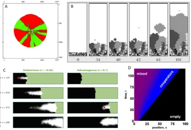 Figure 4.The effects of spatial spread on a population’s evolutionary dynamics.(a) Localmovement in 2-dimensional space leads to the generation of genetically homogeneous ‘sectors’.Figure reproduced from[93].(b) Intermediate levels of long distance dispers