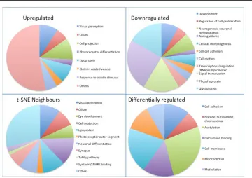 Figure 2. Q-PCR confirmation of expression pattern changes, selected genes. X-axis: samples; RPC=RPCs, P1=P1 retina, FACS-=Rho-eGFP negative cells, FACS+=Rho-eGFP positive cells, P5=P5 retina, Ad ret=adult retina