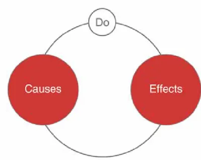 Figure 1. The causes and effects