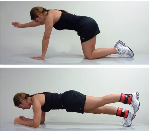 Figure 4Mat and Upright Therapeutic ExercisesMat and Upright Therapeutic Exercises. Examples of the easiest (top) and most challenging (bottom) exercises from the "quad-ruped progression" of the mat and upright program of therapeutic exercises.