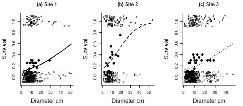 Fig.   6.5.   Survival   of   Eucalyptus   melanophloia   trees   of   different   diameters   from   three   sites
