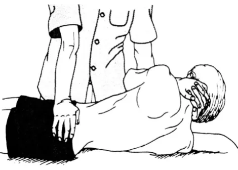 Figure 156)Spinal manipulation technique utilized in this study(5;47;54–Spinal manipulation technique utilized in this study(5;47;54–56)