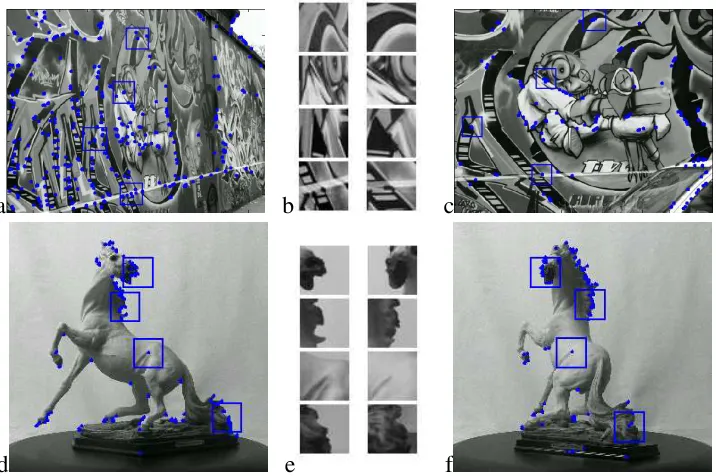 Figure 2.1: (Top row) Large (locations where the 3D surface is irregular or near boundaries