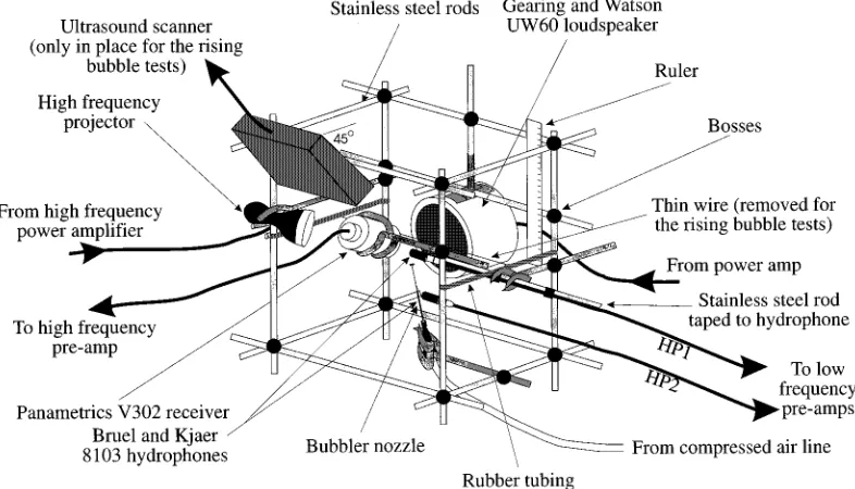 FIG. 1. Schematic of apparatus mounted in cage. For tethered bubble tests the ultrasound scanner is removed