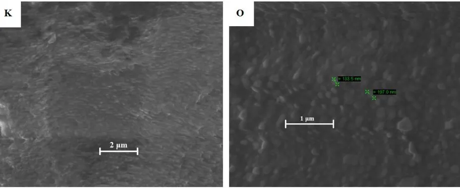 Figure 3. Scanning Electron Microscopy of Brush Block Copolymers Consisting of 85% L-MM