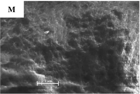 Figure 4 of sample M.   