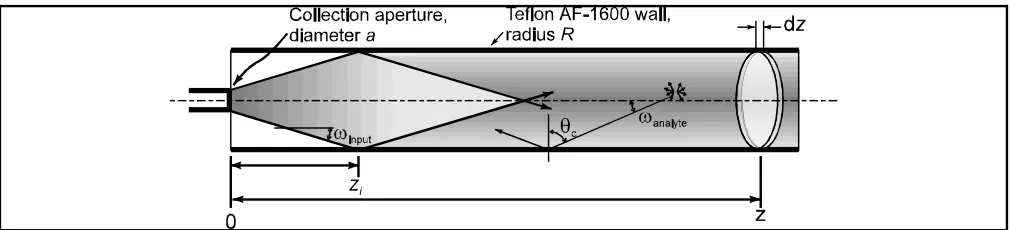 Figure 2 A depiction of the coupling between the probe and the waveguide. (An incremental quantity of collectedflux, dM, is considered to originate from the thin slice of thickness dz