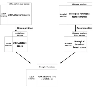 Figure 4. An overview of recommendation system approaches for mRNA isoform function prediction