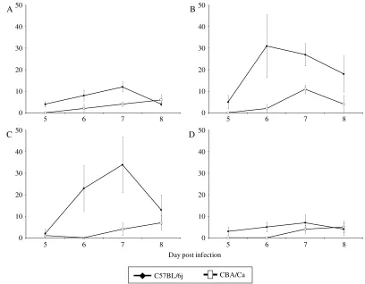 Fig. 3. Changes in total mean larval burden in the left (A) and right (B) lungs of C57BL/6j and CBA/Ca mice,following inoculation with 1000 Ascaris suum ova.