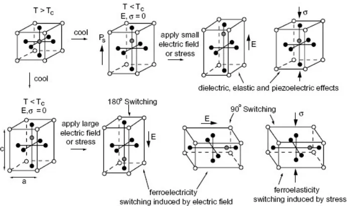 Figure 1-1: The perovskite crystal structure common to many ferroelectric ceramics. For �
