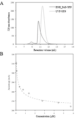 Fig. 2-1.  Size exclusion and polarization fluorescence assays indicate that ENH_DsD-YFP is a 
