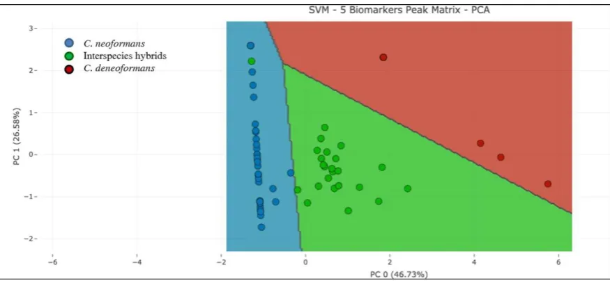 Figure 3. Classification of the three Cryptococcus species by SVM in the one-step approach, using 5 biomarker peaks