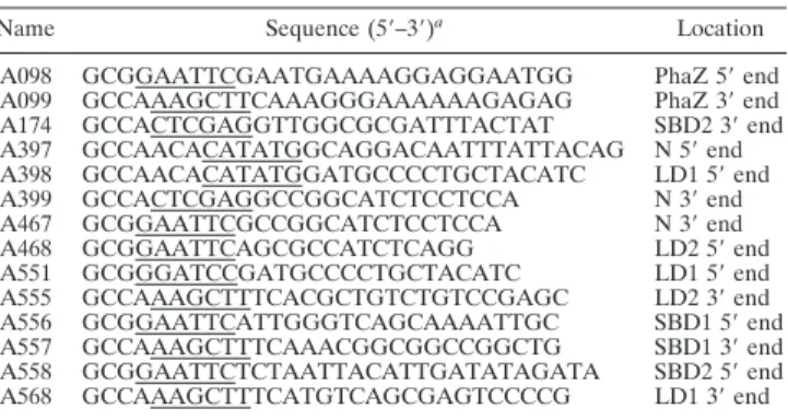 TABLE 2. Oligonucleotide primers used in this study
