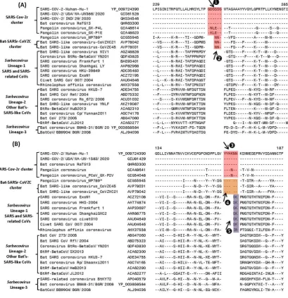 Figure 2. Partial sequence alignments of two conserved regions from the N-terminal domain of spike proteins showing a number of CSIs (highlighted) that are specific for different clades/lineages of Sarbecovirus