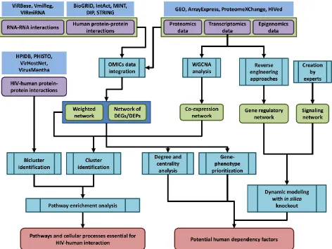 Figure 2. The general pipeline of network-based analysis of HIV-related OMICs data. Public databases provide access to OMICs data on human and HIV-human protein-protein interactions (HPIDB, PHISTO, VirHostNet, VirusMentha, and others, see Table 1, Table S1