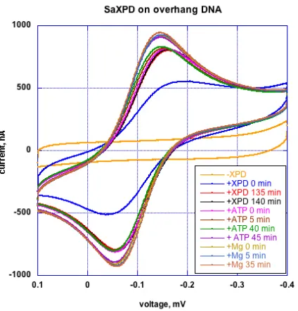 Figure 2.9  SaXPD on a DNA-modified electrode with ATP and magnesium additions. 