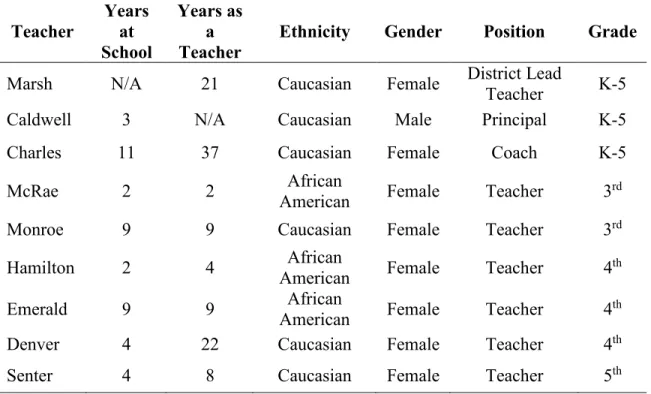 Table 3.3. Participant Overview 