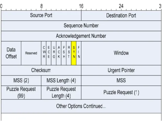 Figure 3-4: Puzzle request packet 