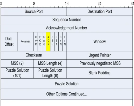 Figure 3-7: Puzzle solution packet 