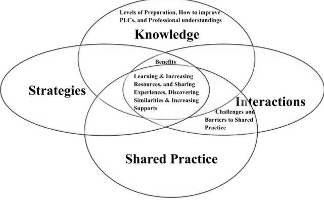 Figure 2. Emergent Themes  
