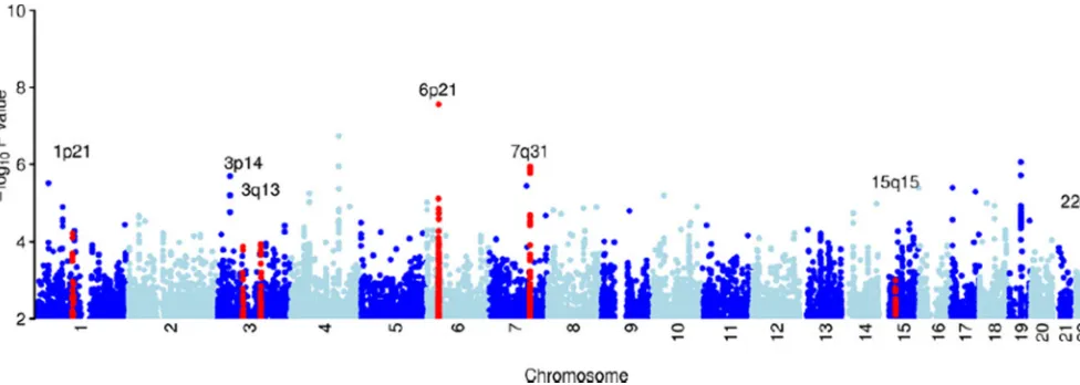 Figure 1.Plot of genome-wide association results after fitting the multiplicative model in SNPTEST.