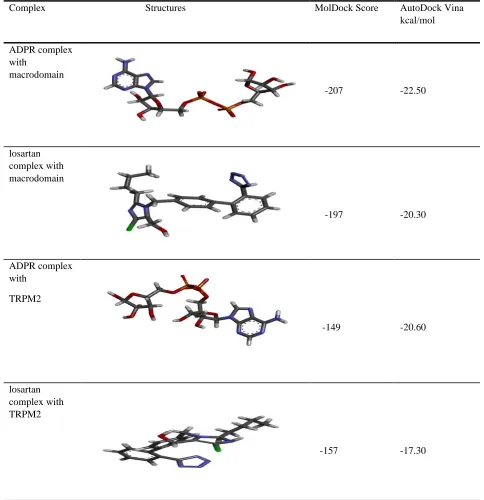 Table 3. The affinity and binding score of the ligand-protein complexes. 