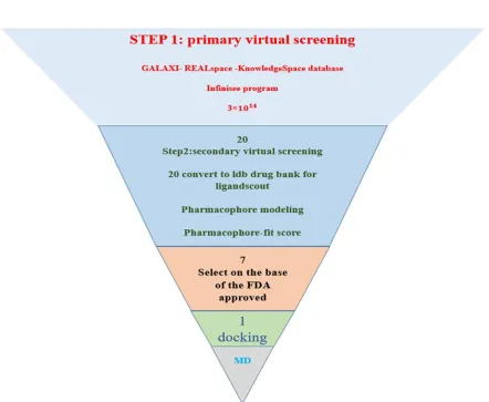 Figure 1. The procedure of this study. MD; Molecular dynamic simulation 