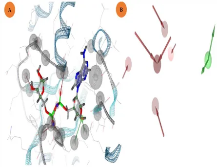Figure 2. Pharmacophore model of ADPR. A-pharmacophore of the ADPR and its interaction with active site’s amino acids macrodomain