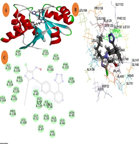 Figure 3. The predicted complex Macrodomain- Losartan binding mode. (A) The position of the Losartan in the active site of the macrodomain