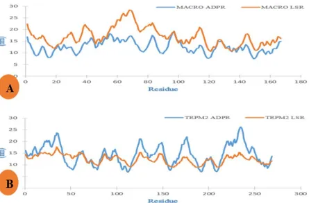 Figure 5. RMSD analyses of viral macrodomain (A) and TRPM2 (B) in complex with ADPR and 