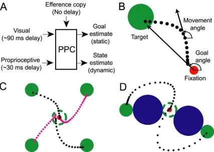 Figure 2-1. Model and experimental design. (A) Diagram of sensorimotor integration for online control 