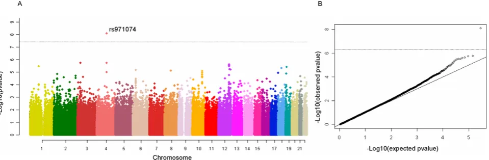 Figure 1. Manhattan plot of the ARCAGE and CE UADT cancer GWAS discovery phase. One clearly outlying marker, rs971074 is highlycorrelated with rs1573496, a SNP previously associated with UADT cancer risk