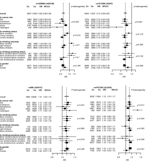 Figure 3. Stratified analysis of 4 replicated SNPs located near alcohol metabolism genes