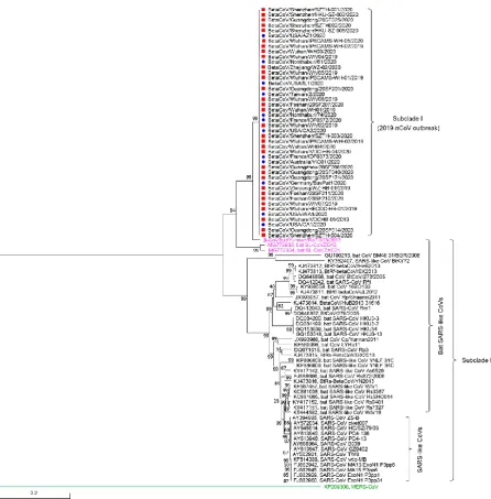 Figure 2 Phylogenetic analysis of 2019-nCoV in the context of β-coronaviruses 