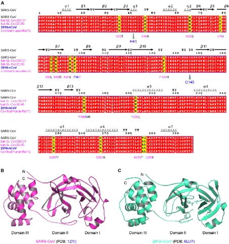 Figure 5 Sequence and structural similarity of SARS-CoV and 2019-nCoV 3CL 
