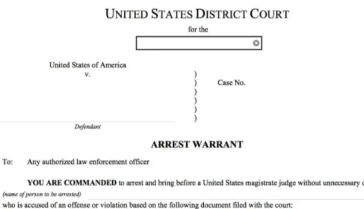 Figure 6: Example of a Judicial Warrant 42