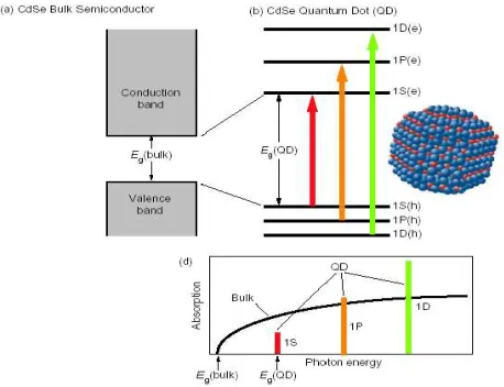 Fig. 4: The orbit comparison of quantum dot with hydrogen atom. 