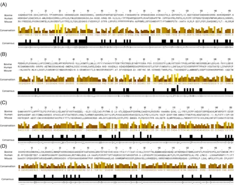 Figure 1. Multiple sequence alignment of CATSPER1–4 (A–D) proteins in bovine, human, and mouse showing conserved regions (highlighted in color)