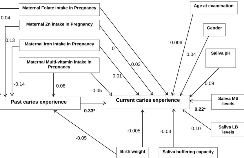 Figure  5.1.  Path  analysis  with  standardised  bootstrapped  estimates  (β)  of  the  associations  between maternal intake of nutritional supplements during pregnancy, salivary characteristics,  age, and gender with dental caries experience of children