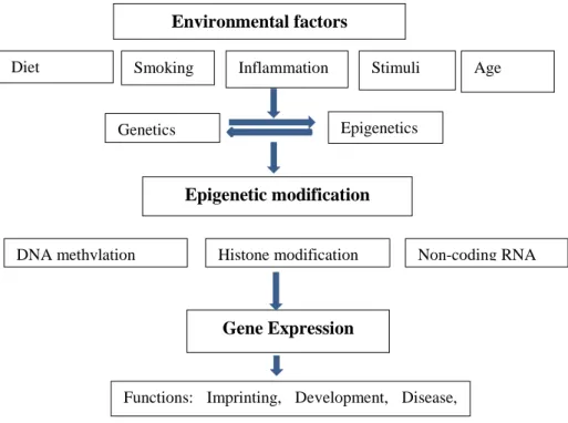 Figure 6.1 Environmental factors affecting epigenetic modification (Source: Seo et al., 2015)  (This  is  from  an  open-access  article  distributed  under  the  terms  of  the  Creative  Commons  Attribution-Noncommercial-Share  Alike  3.0  Unported,  wh